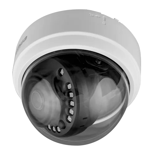 D1A21N-3.webp