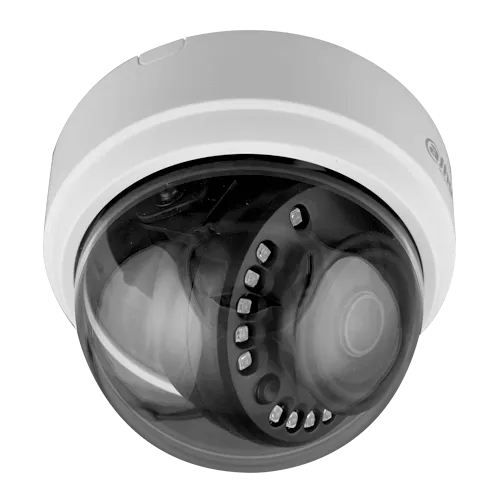 D1A21N-2.webp